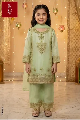 Dar-Al-Fashion 3-Piece Stitched Organza