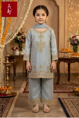 Dar-Al-Fashion 3-Piece Stitched Organza