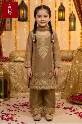 Dar-Al-Fashion 3-Piece Stitched Organza